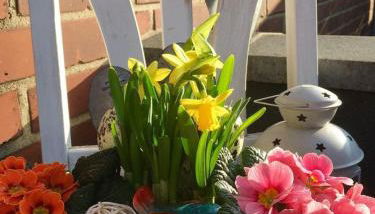 Apartment Glesch - Foto 2