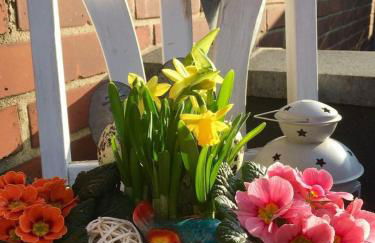 Apartment Glesch - Foto 2