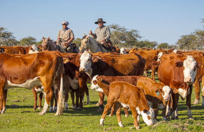 Estancia San Agustín - Foto 18