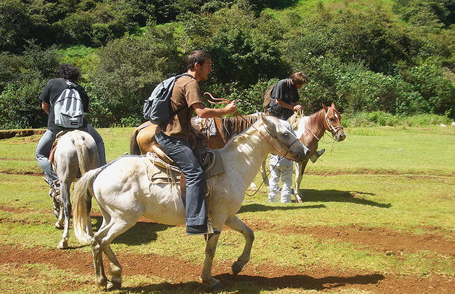 Reiten in San Cristobal de Las Casas - Foto 3