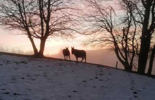 Quiddelbacher Mühle - Foto 22