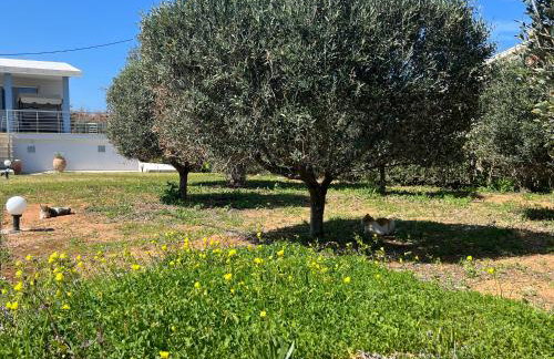 Villa Villino Blu by the sea - Foto 23