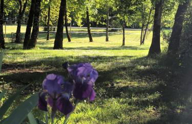 Les fontanelles du quercy blanc - Foto 23