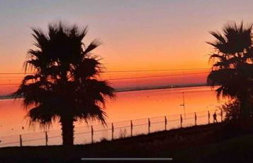 Stunning sea views from rooms and terraces - Foto 8