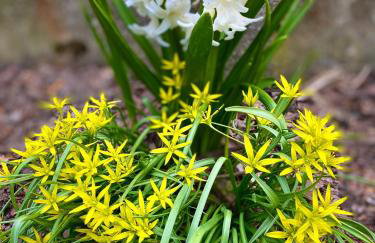 Zielone Zacisze - Foto 50