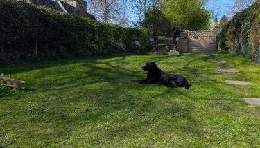 The Casey - Foto 5, Garden, Garden view