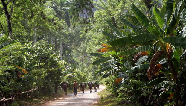 Cuba 15-day Tour - Foto 3