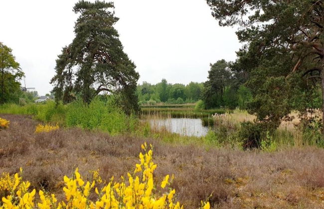 Villa in Nijmegen With VIP Amenities - Foto 11