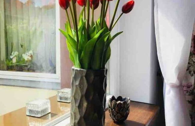 Peter House 24-7 - Self Check in - Foto 45