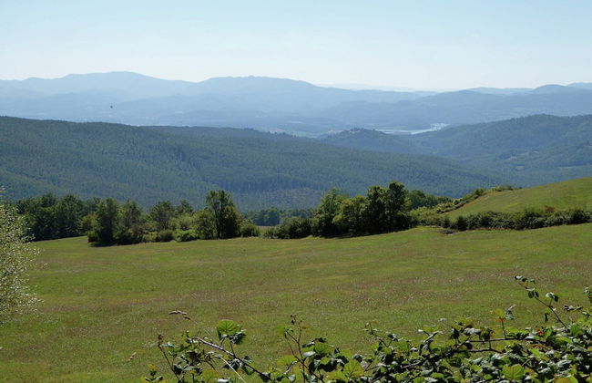 Holiday Home in Montecarelli With Pool - Photo 38