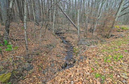 Cozy Catskills Escape, 3 Mi to Plattekill Mtn - Foto 30