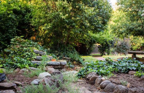 Downtown Dream Casa Near Chico State, Private Yard - Foto 8