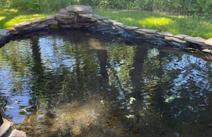 Creekside Escape on 200 acres - Foto 27