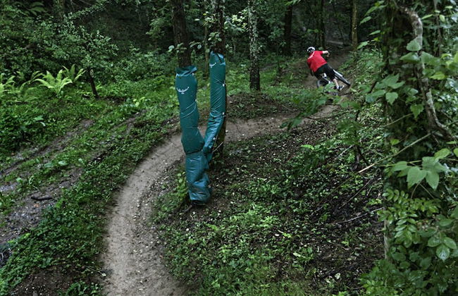 Cabañas Deluxe Basajaun Basoa by IrriSarri Land - Foto 55