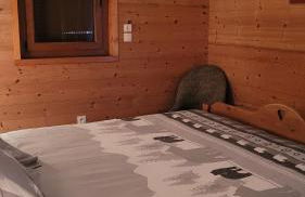 Chalet Coquelicot - confort montagnard et ambiance chaleureuse au cœur de Saint Martin de Belleville - Foto 10