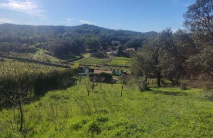 Finca del Abu - Foto 10