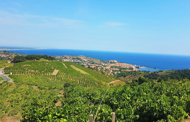 Village Vacances Azureva Argelès-sur-Mer - Foto 31