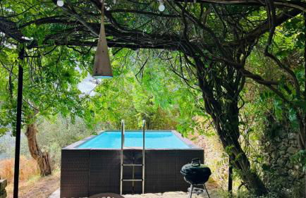 Villa in Toscana con Piscina privata e parco privato - Foto 2