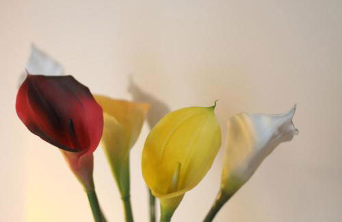 Bella Vista - Foto 12