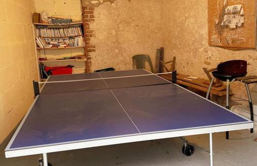 Gîte tout inclus près de Blois avec jardin, idéal familles, proche châteaux de la Loire - FR-1-491-430 - Foto 15