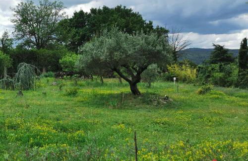 Jolie studio en Provence! - Foto 13