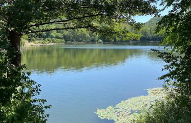 Haus Mariechen 5-Sterne- Whg 1 nahe Silbersee mit Balkon & Sauna, Freibad fußläufig - Foto 38