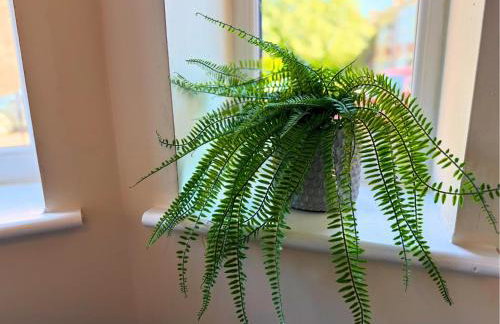 Pool Table 1-Bedroom House, near City Centre and Public Transport, Dog Friendly, Sleeps 5, Free Parking - Foto 12