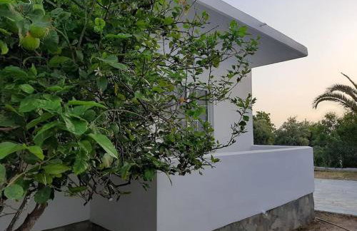 Annika's Summer Dream - Foto 37