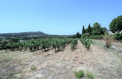 Bastide la Marraine - Foto 12