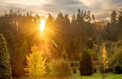 Cedar Cabin Overlooking Bedgebury Forest - Foto 34