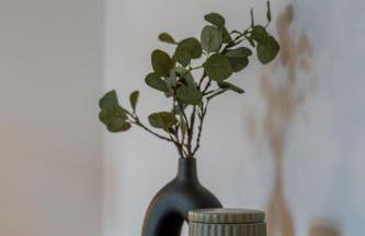 Peaceful 3 BD with 2 King Beds - Photo 28