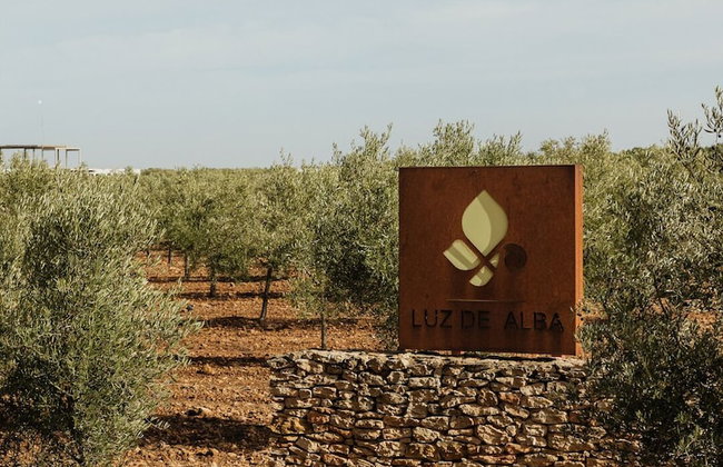 Finca Luz de Alba - Foto 52