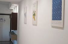 La Conchiglia Apartment Villa Margi - Foto 7