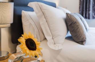 College Court - Foto 24