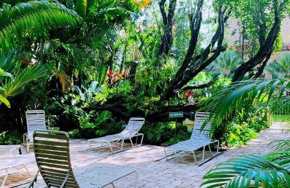 Palm Beach Island Condominiums - Photo 56