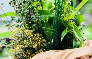 Agriturismo Le Fornase - Foto 29