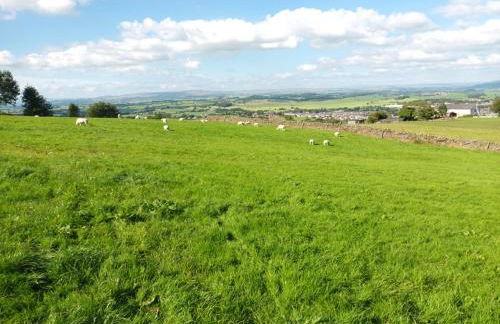 The Journeyman Luxury Shepherds Hut - Foto 36