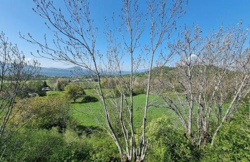 Chalet spacieux 18 pers. avec jardin, 7 chambres, cheminées, animaux admis - Saint-Michel-de-Chaillol - FR-1-393-82 - Foto 2