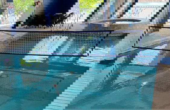 Luxurious Lakehouse With Indoor Pool-hot Tub-fire Pit - Foto 25