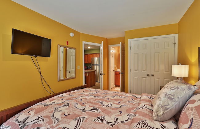 The Pico Escape: 3br/2ba Ski On/ski Off At Pico Mountain. Close To Killington. 3 Bedroom Condo - Foto 6