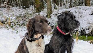 Ferienhof Ekenhoff - Foto 5, pet friendly