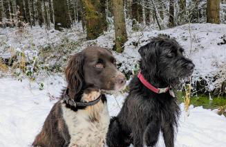 Ferienhof Ekenhoff - Foto 5