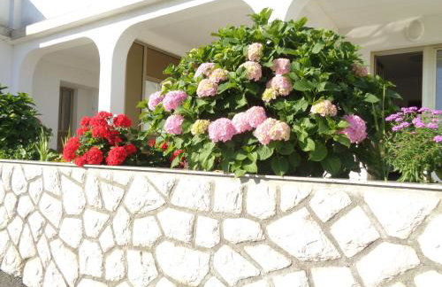 Apartments Marina - Photo 20