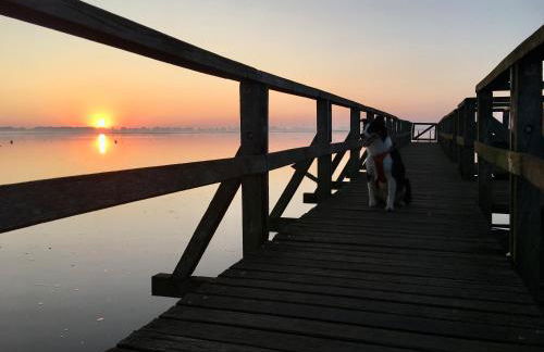 Deichkoje12 Deck 1 EG direkt am Eiderdeich nur 7 km bis zur Nordsee und 20 Min bis Sankt Peter Ording - Foto 21
