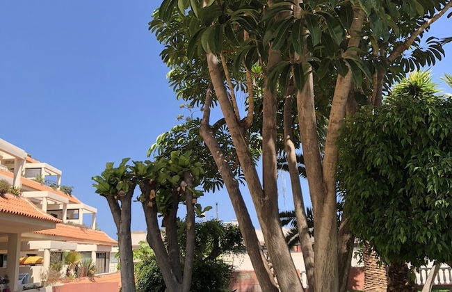 Apartamentos Bahia Playa - Foto 56