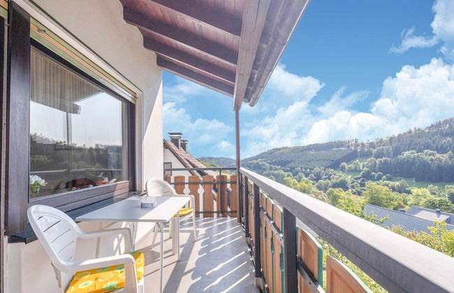 Large Holiday Apartment near Willingen with Private Garden & Terrace - Foto 36