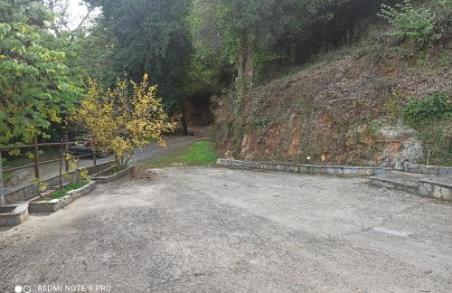 ForestRock Studio FOR SALE TOO - Foto 19