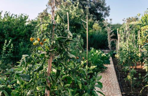 Galboka Residence - Foto 39