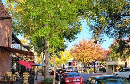 Artist's retreat near the heart of the city - Photo 17