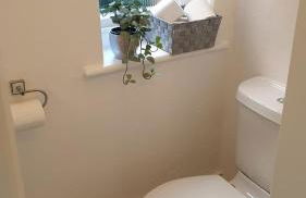 Beautiful Garden Apartment in Leafy St Leonards 5 Mins to Beach - Foto 9